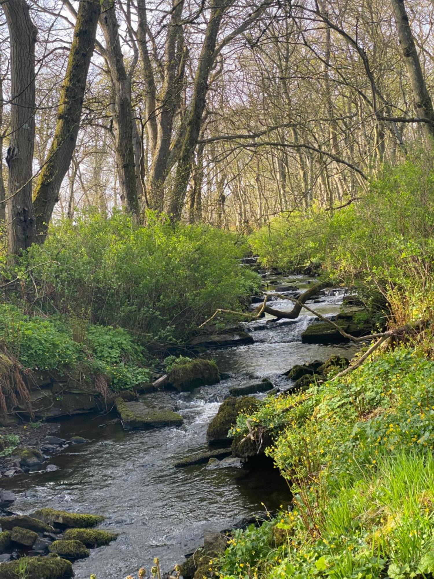 Forse Of Nature Latheron Экстерьер фото