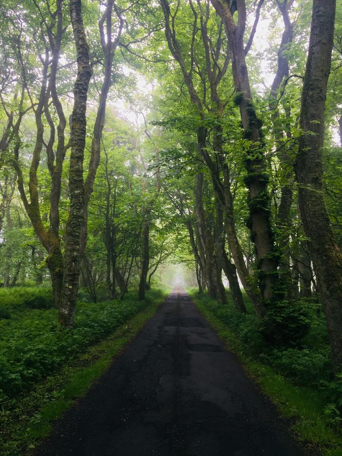 Forse Of Nature Latheron Экстерьер фото